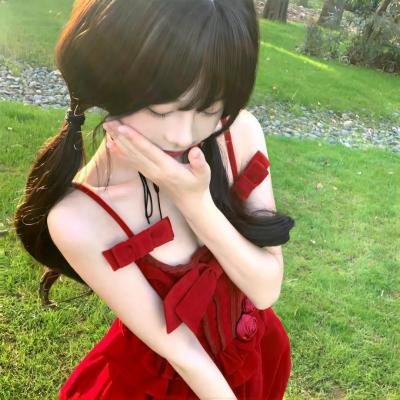 托梅斯的导盲犬